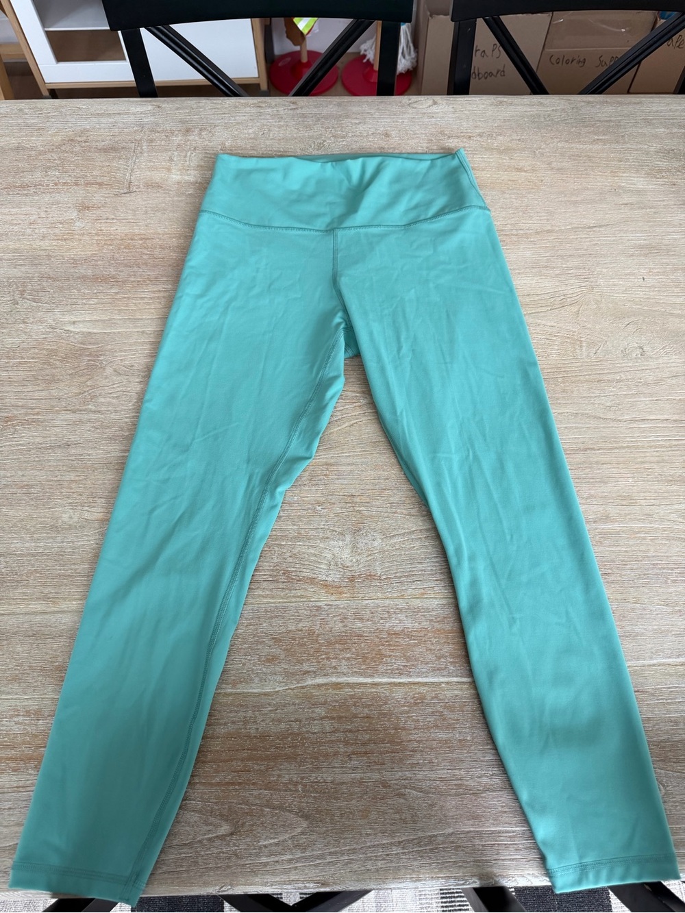 Everlane Aqua Perform Ankle Leggings in Size Large
